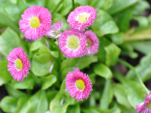 429640 (a): :1600x1200